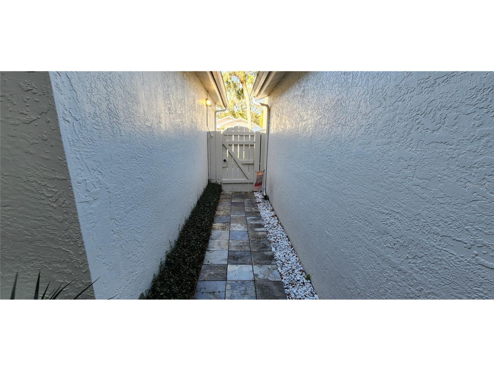 440 Lakeview Dr #33 Palm Harbor FL 34683 TB8342687 image12