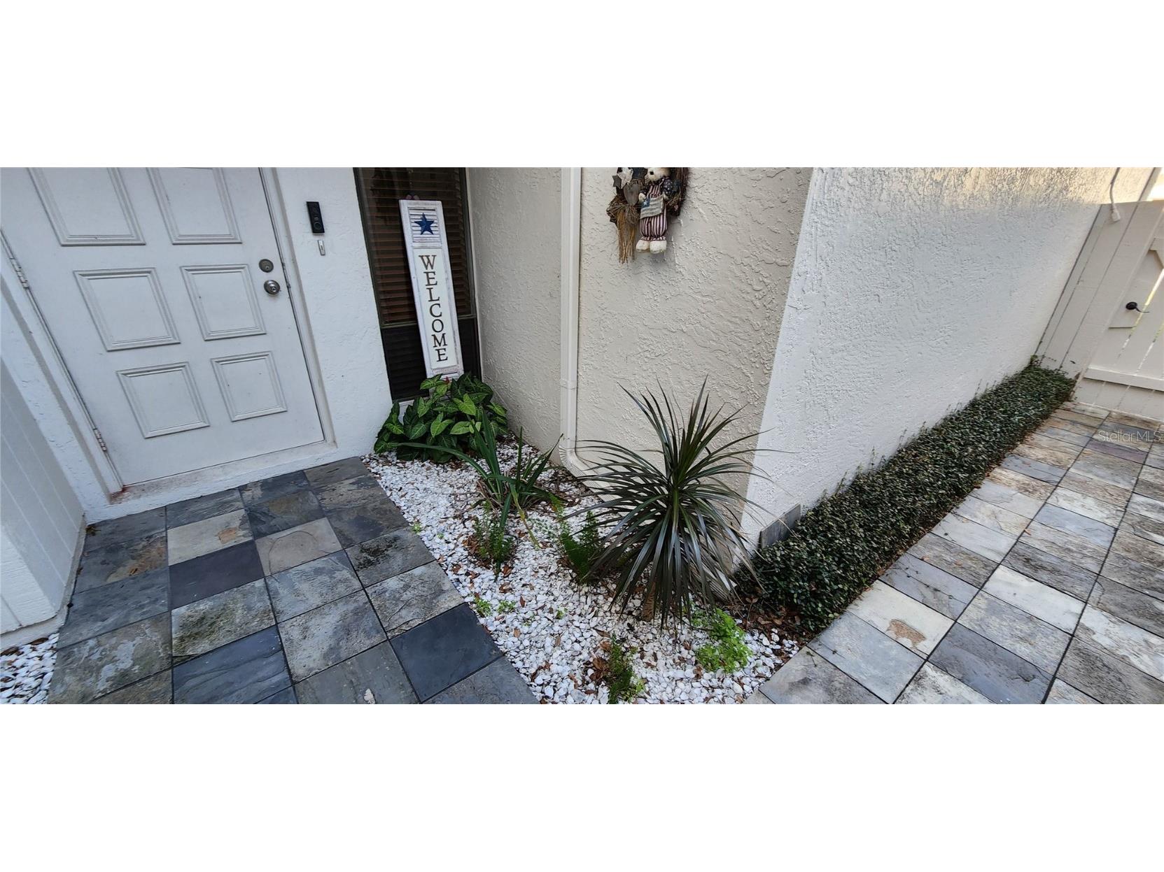 440 Lakeview Dr #33 Palm Harbor FL 34683 TB8342687 image15