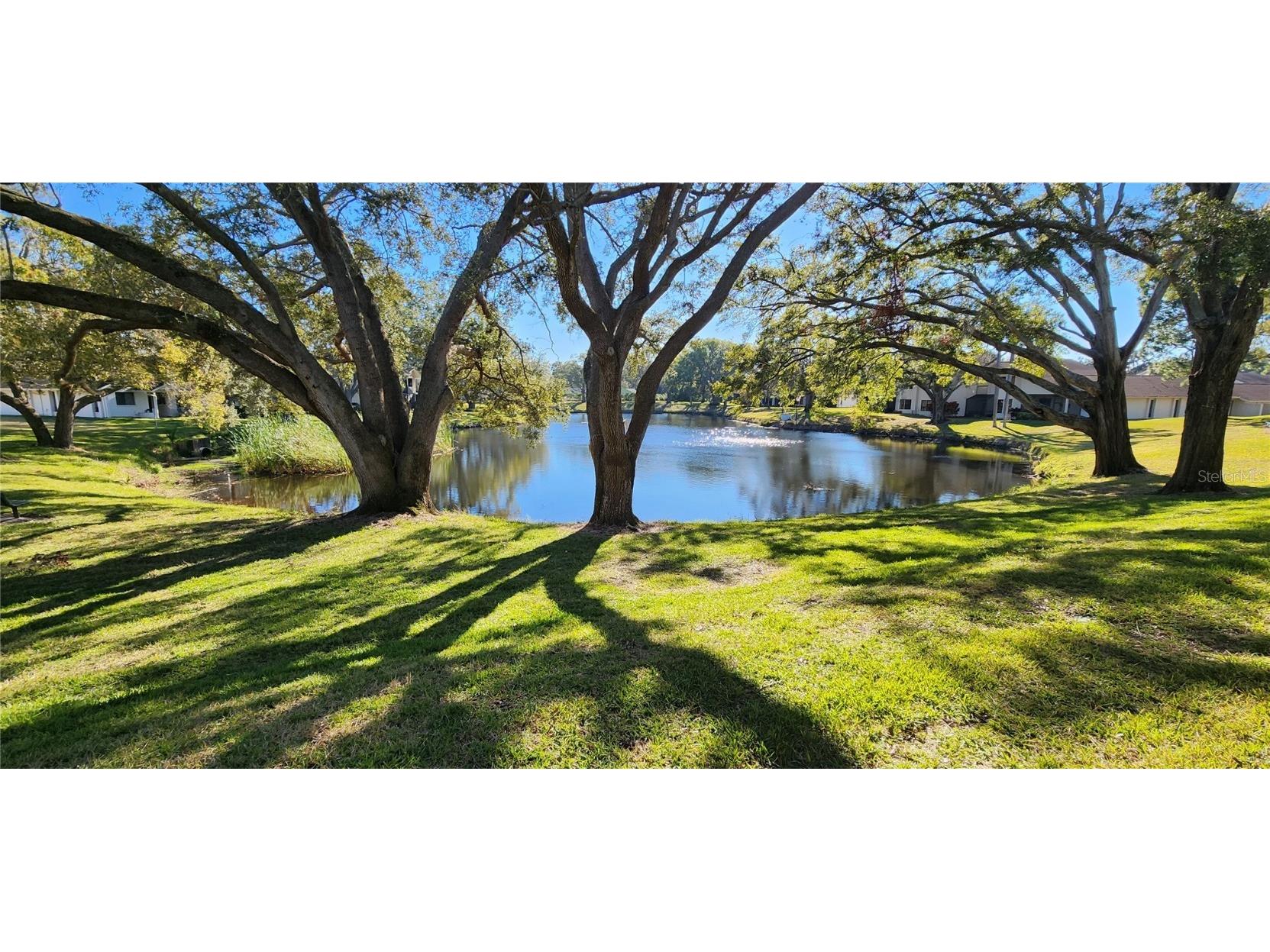 440 Lakeview Dr #33 Palm Harbor FL 34683 TB8342687 image28