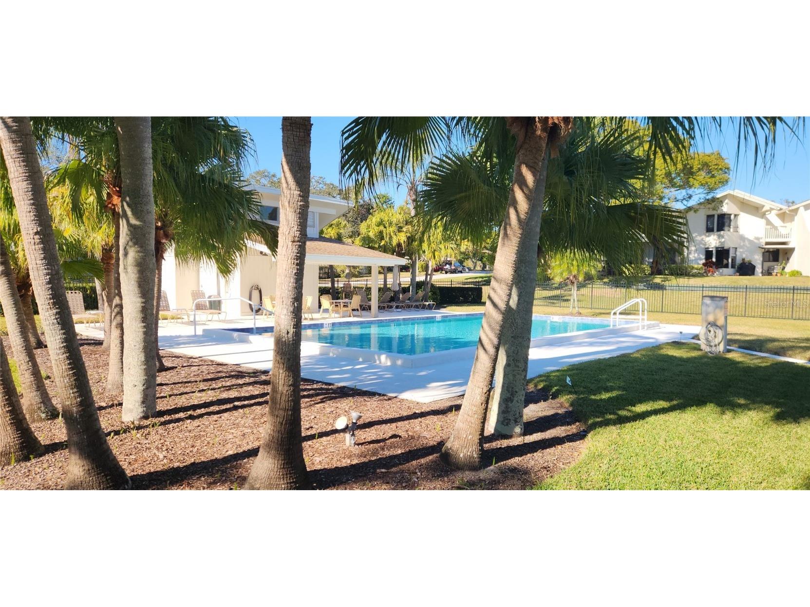 440 Lakeview Dr #33 Palm Harbor FL 34683 TB8342687 image3