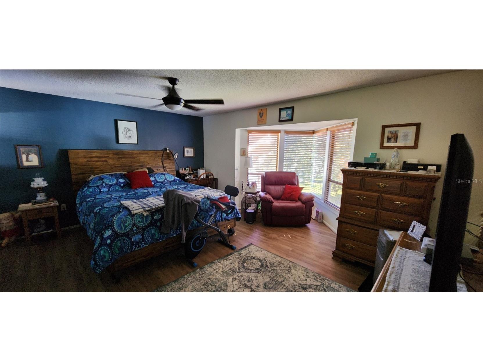 440 Lakeview Dr #33 Palm Harbor FL 34683 TB8342687 image38