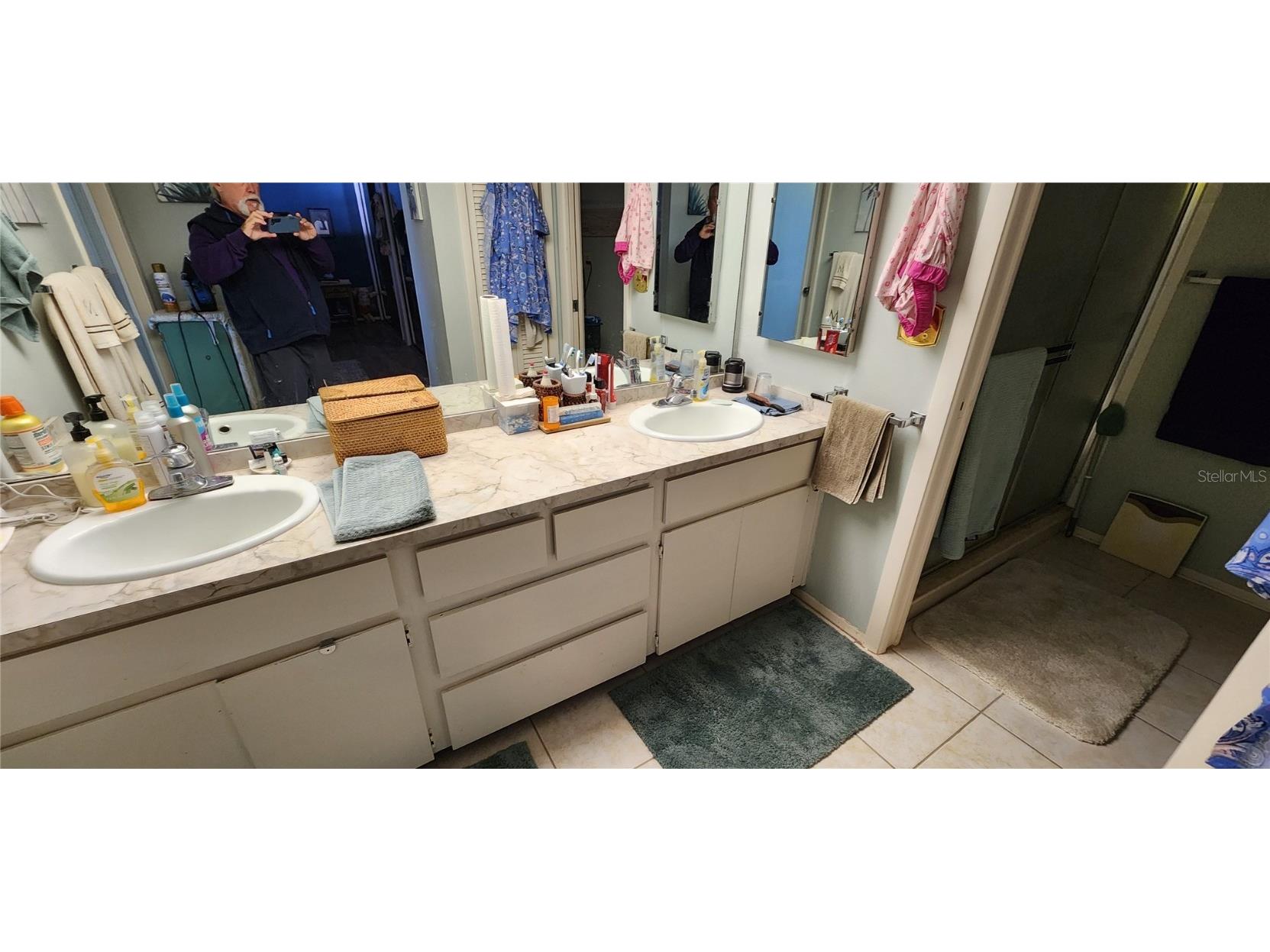 440 Lakeview Dr #33 Palm Harbor FL 34683 TB8342687 image39