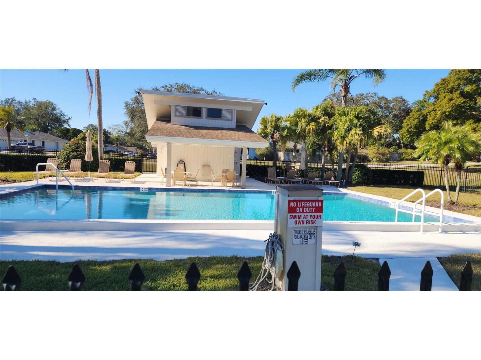 440 Lakeview Dr #33 Palm Harbor FL 34683 TB8342687 image4