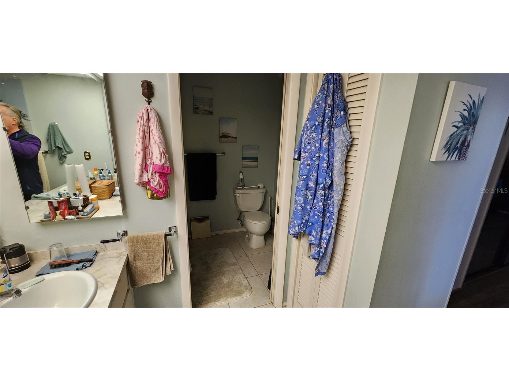 440 Lakeview Dr #33 Palm Harbor FL 34683 TB8342687 image41