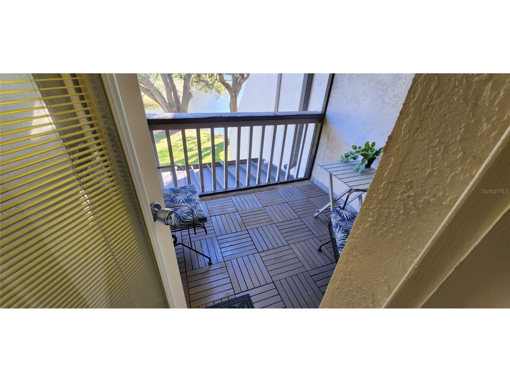 440 Lakeview Dr #33 Palm Harbor FL 34683 TB8342687 image42