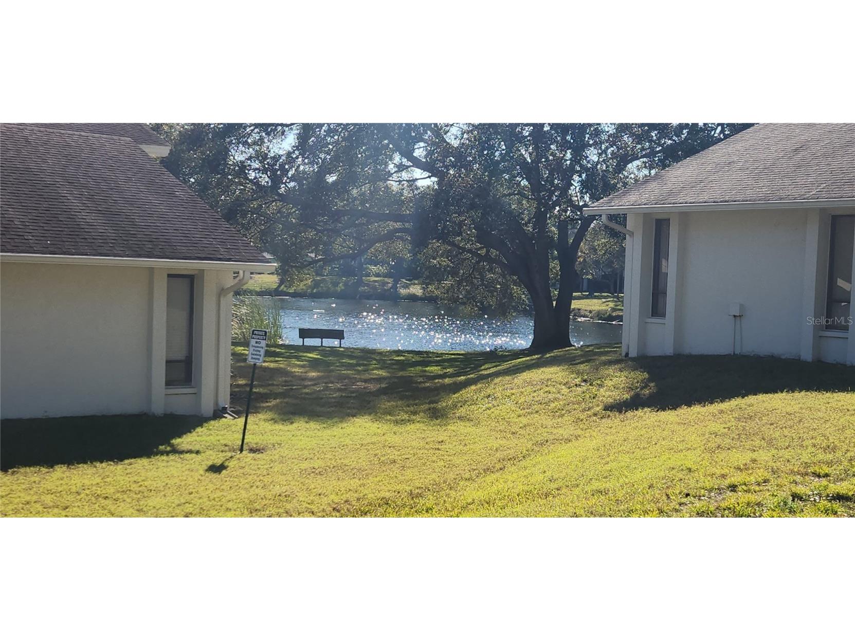 440 Lakeview Dr #33 Palm Harbor FL 34683 TB8342687 image5