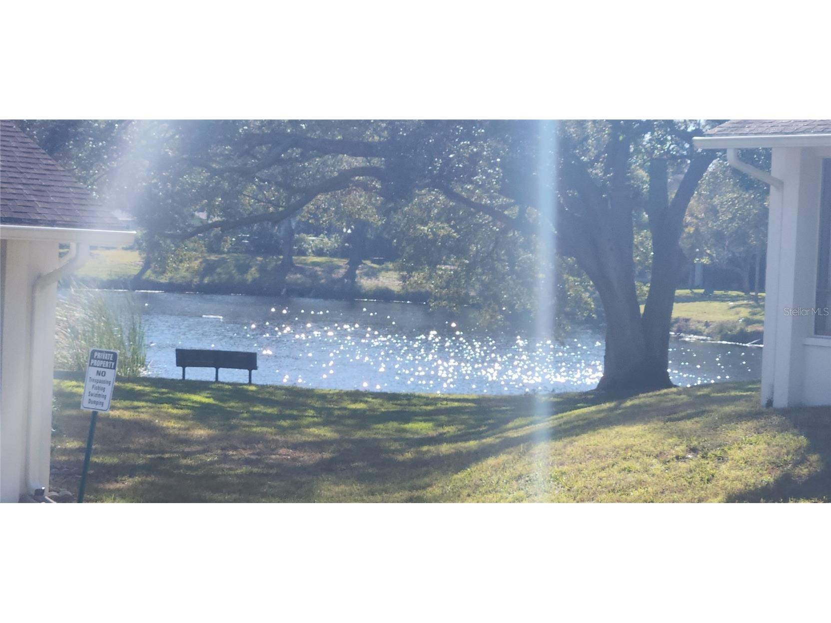 440 Lakeview Dr #33 Palm Harbor FL 34683 TB8342687 image6