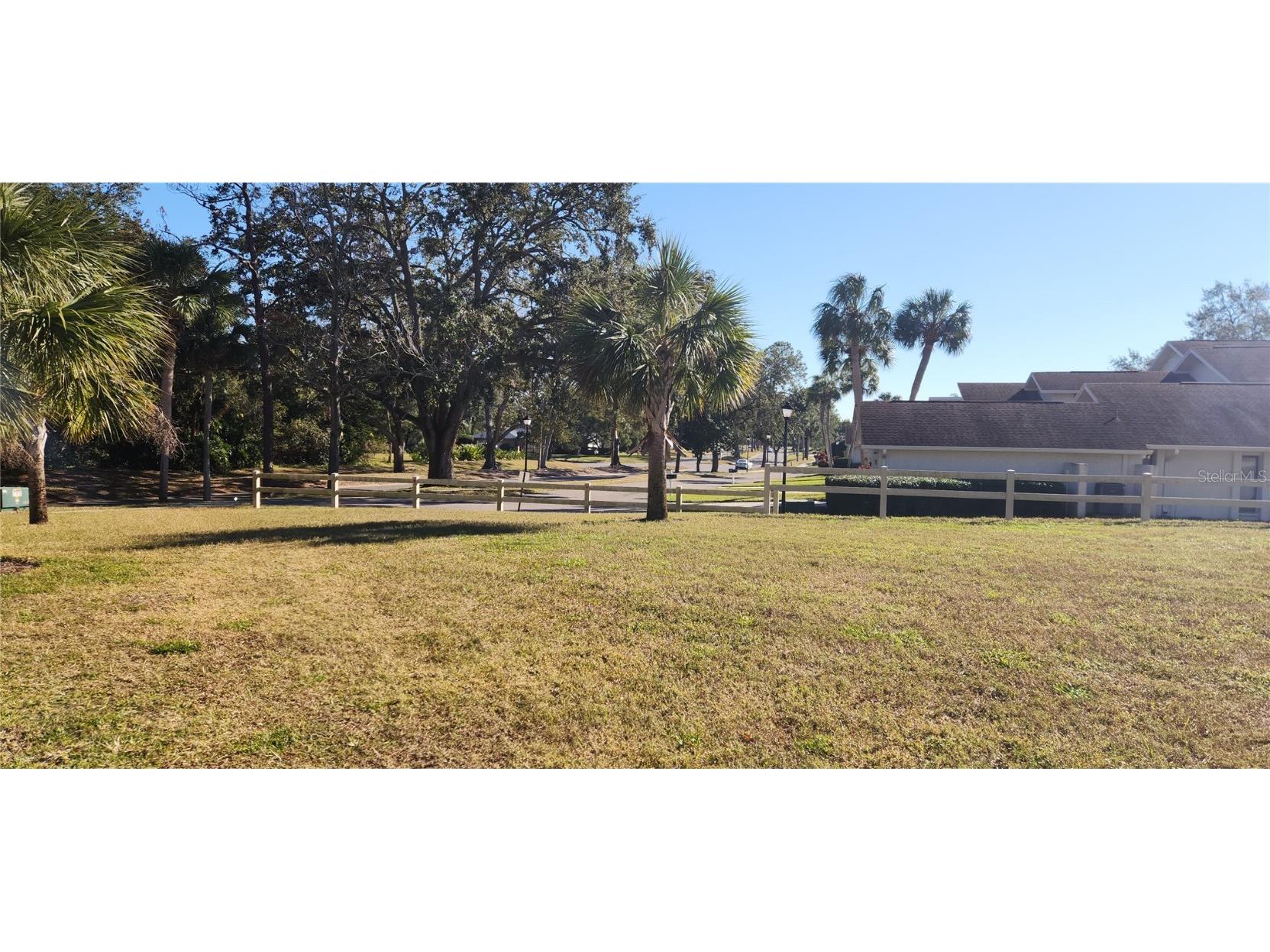 440 Lakeview Dr #33 Palm Harbor FL 34683 TB8342687 image7