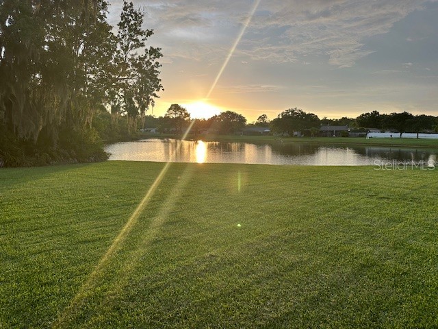 440 Lakeview Drive Oldsmar FL 34677 TB8454195 image2