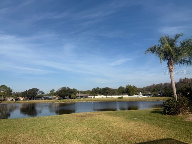 440 Lakeview Drive Oldsmar FL 34677 TB8454195 image3