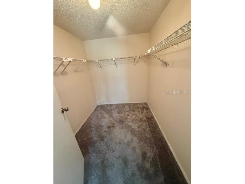 440 Lakeview Drive Oldsmar FL 34677 TB8454195 image34