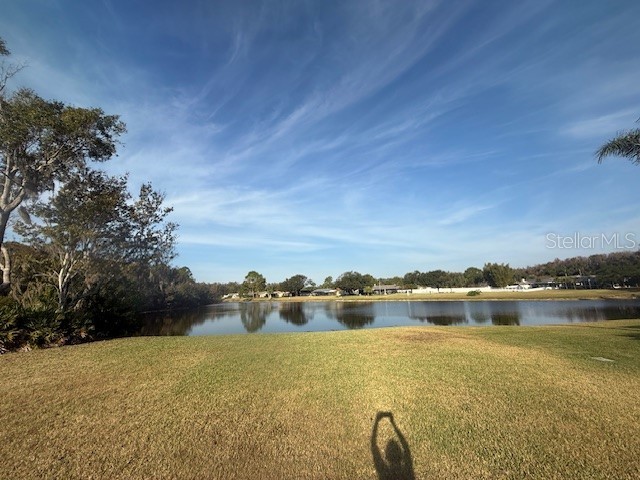 440 Lakeview Drive Oldsmar FL 34677 TB8454195 image42