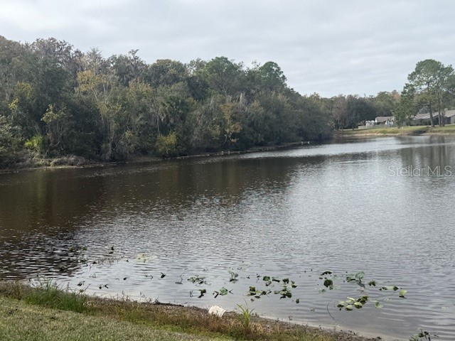 440 Lakeview Drive Oldsmar FL 34677 TB8454195 image43