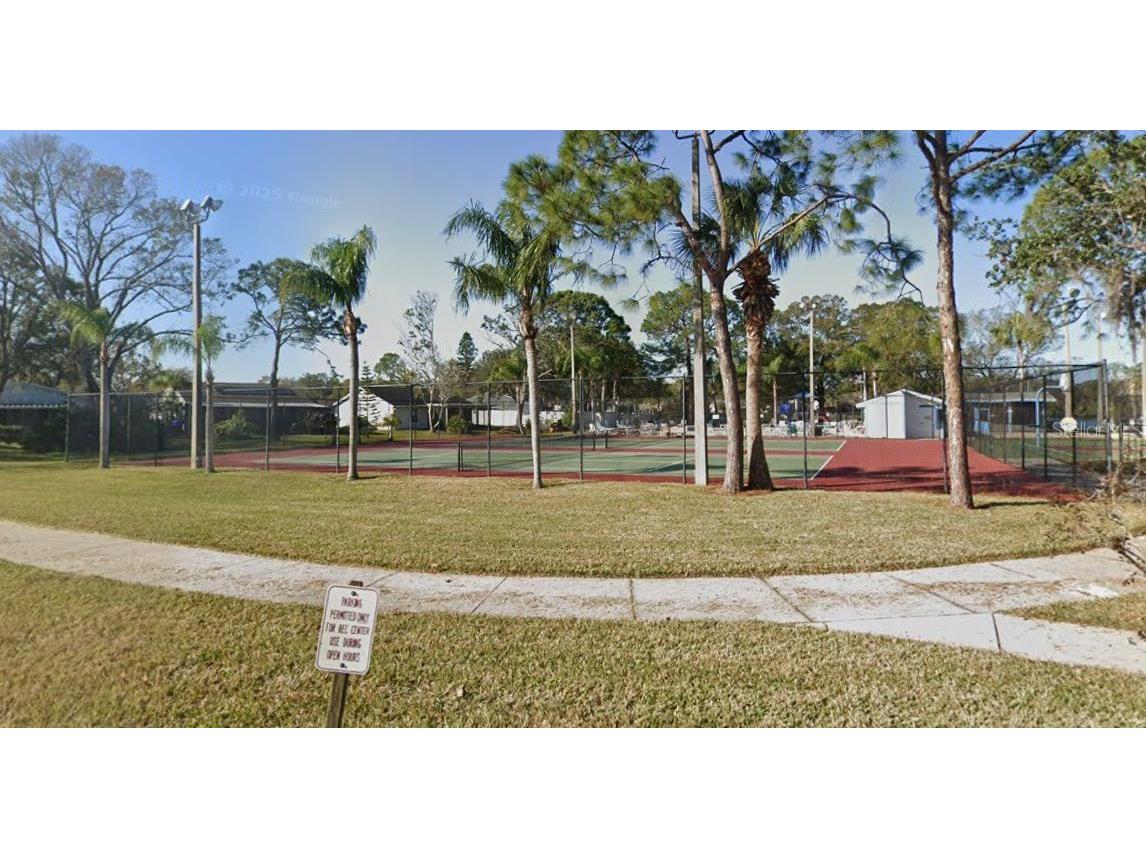 440 Lakeview Drive Oldsmar FL 34677 TB8454195 image45