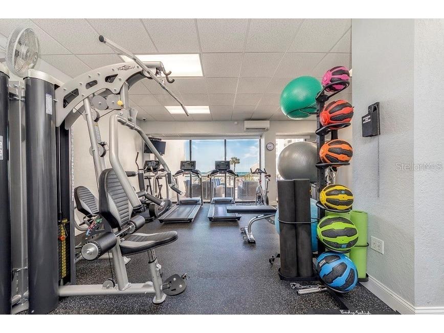 440 S Gulfview Boulevard #1004 Clearwater Beach FL 33767 - GULF OF AMERICA TB8453681 image38