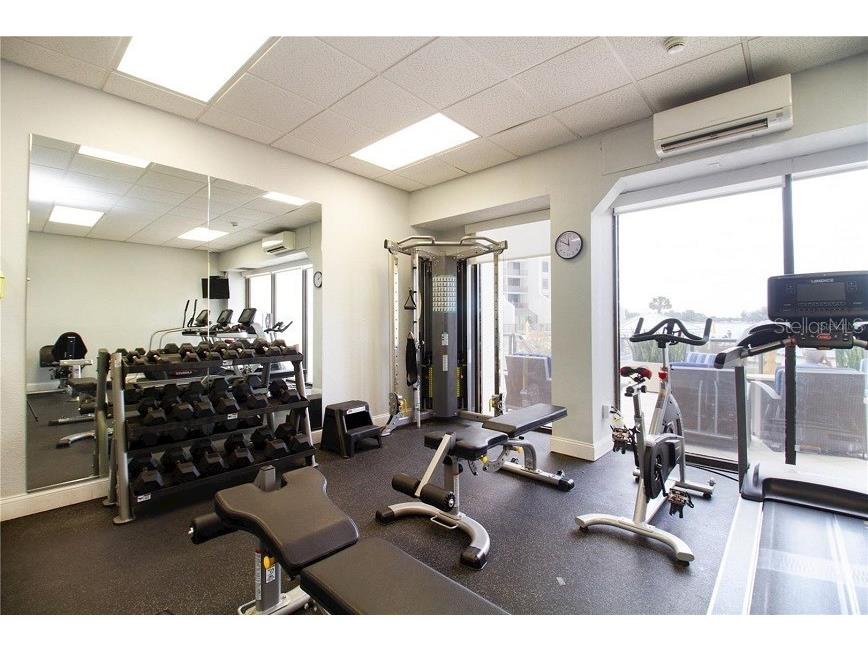 440 S Gulfview Boulevard #1004 Clearwater Beach FL 33767 - GULF OF AMERICA TB8453681 image39