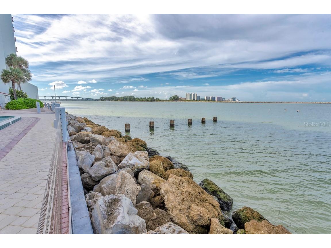 440 S Gulfview Boulevard #1705 Clearwater Beach FL 33767 TB8455497 image44