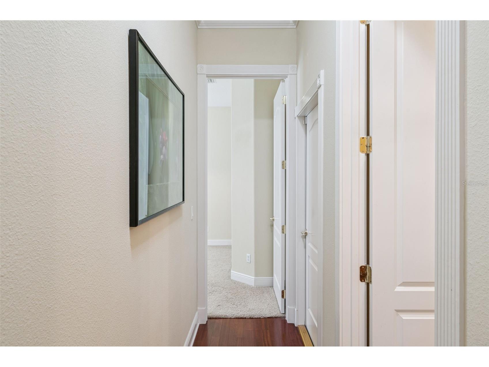 440 Tierra Verde Lane Winter Garden FL 34787 O6412260 image28