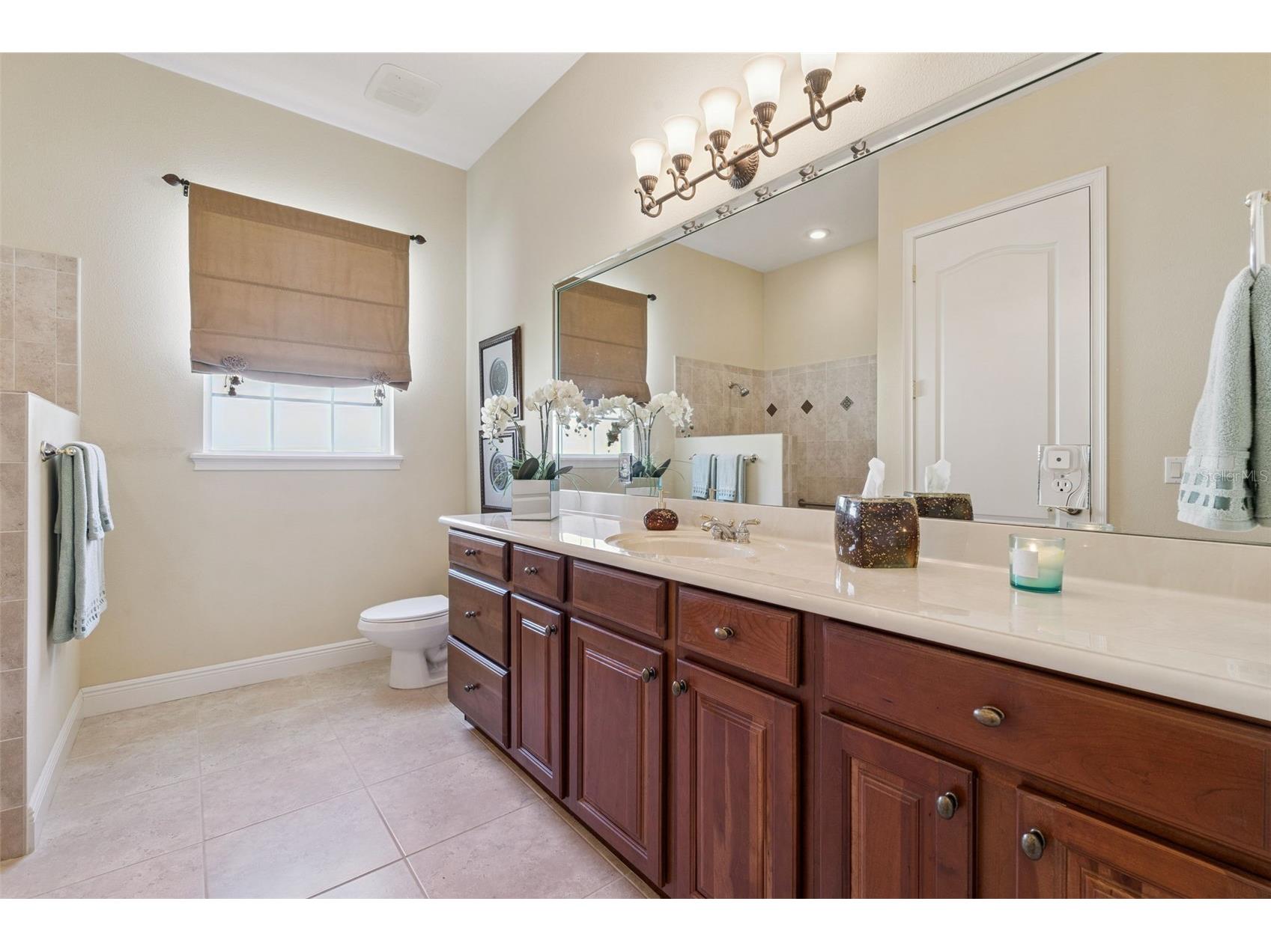 440 Tierra Verde Lane Winter Garden FL 34787 O6412260 image33