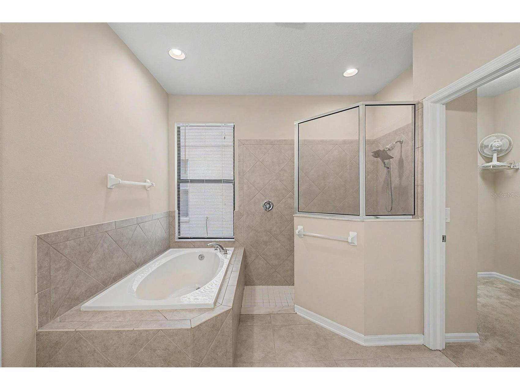 440 Westchester Hills Lane Valrico FL 33594 TB8522179 image13