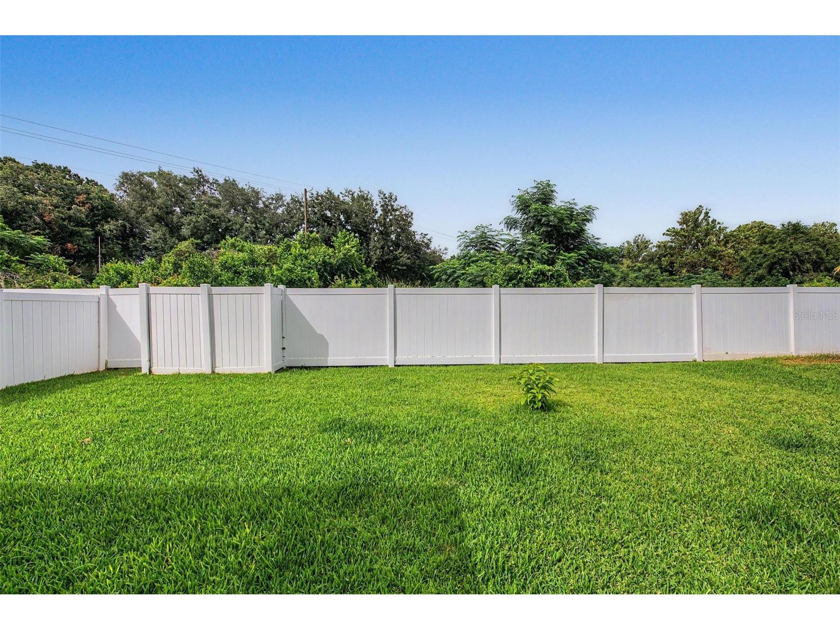 440 Westchester Hills Lane Valrico FL 33594 TB8522179 image39