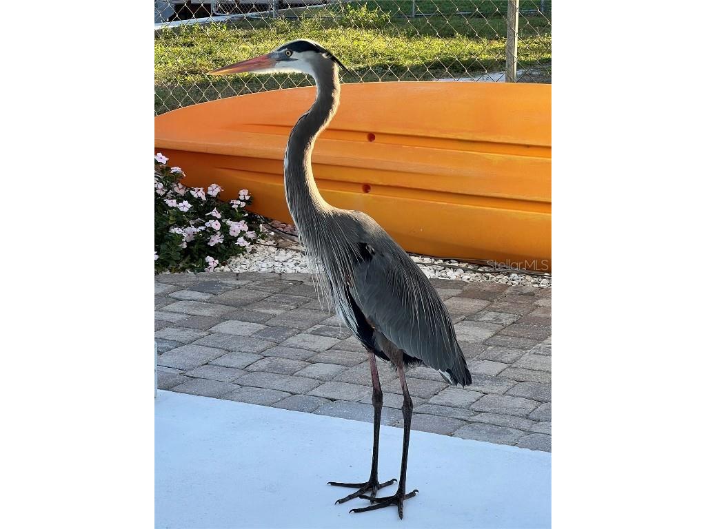 4400 Beach Drive SE Saint Petersburg FL 33705 TB8447065 image52