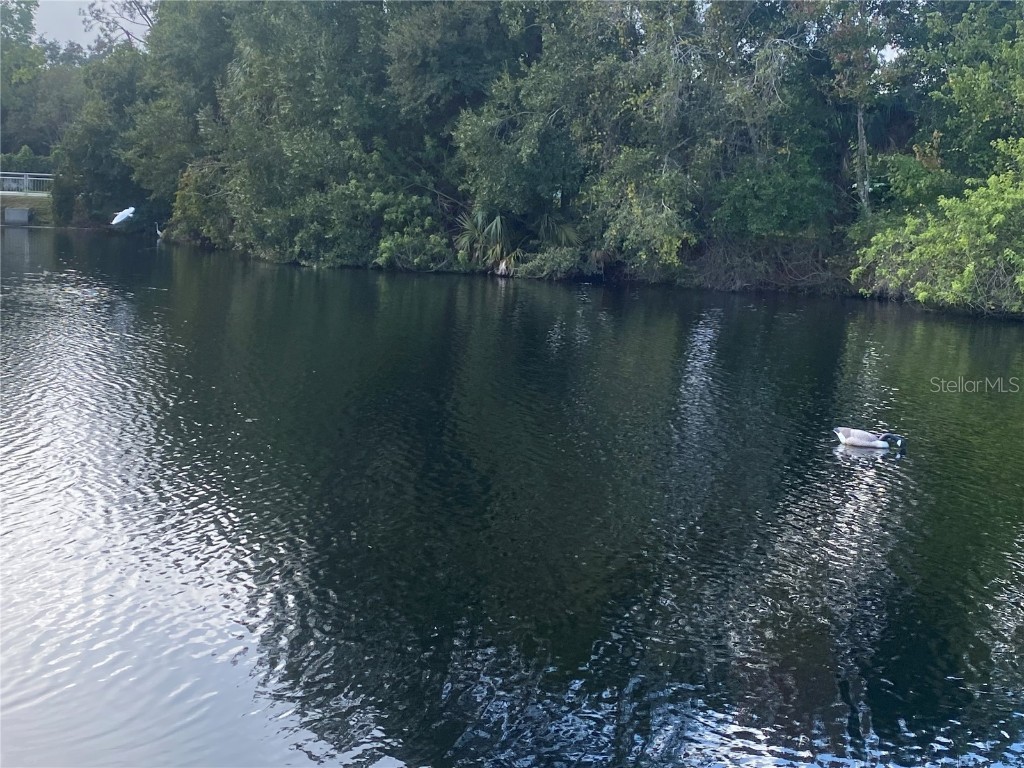 4400 Castlepalm Road Orlando FL 32839 O6349971 image27