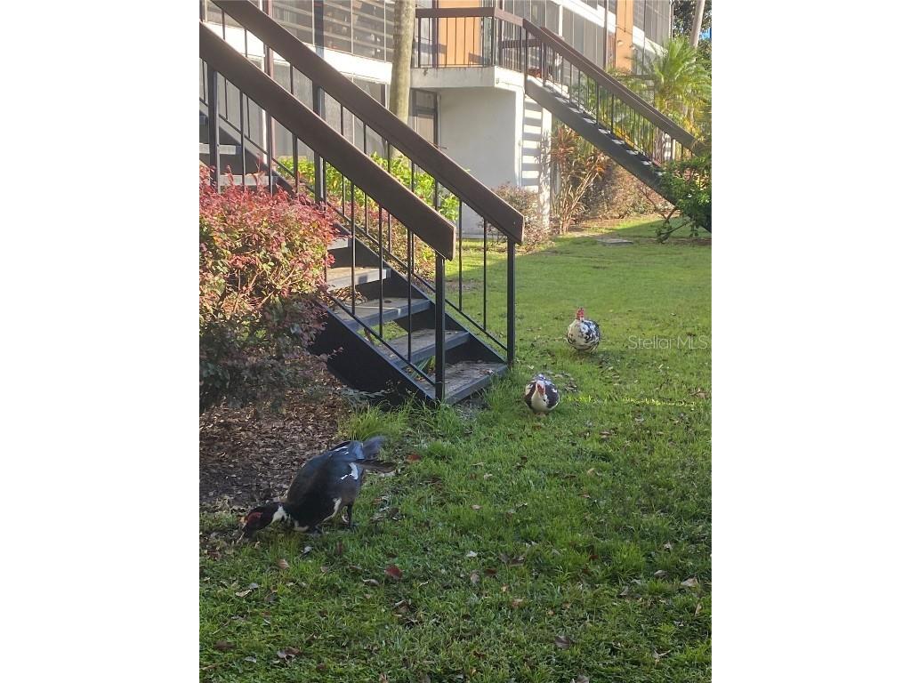 4400 Castlepalm Road Orlando FL 32839 O6349971 image3