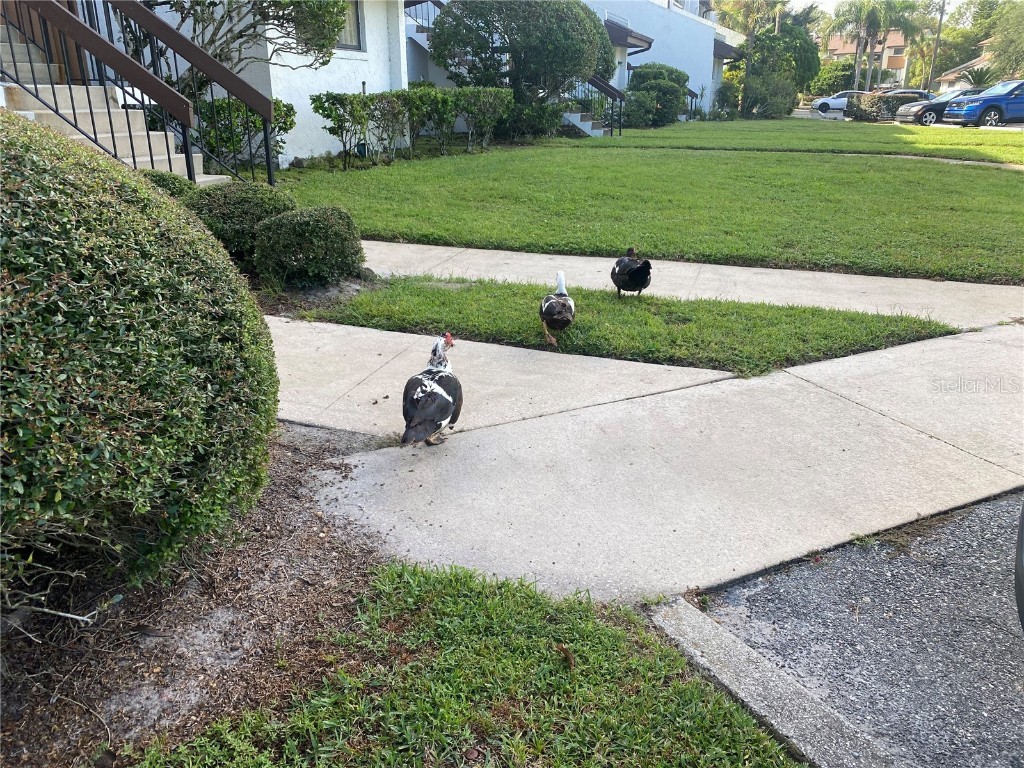 4400 Castlepalm Road Orlando FL 32839 O6349971 image35