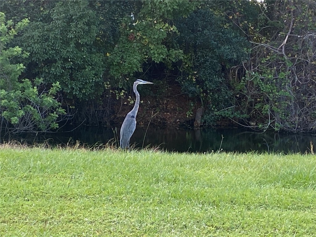 4400 Castlepalm Road Orlando FL 32839 O6349971 image36