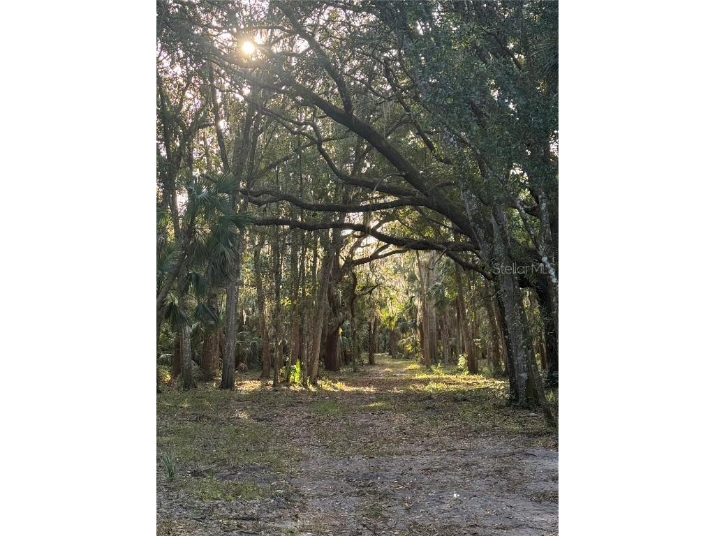 4400 N Ocean Shore Boulevard Palm Coast FL 32137 FC314422 image7