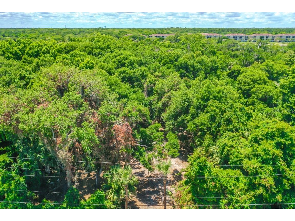 4400 N Ocean Shore Boulevard Palm Coast FL 32137 FC314422 image8