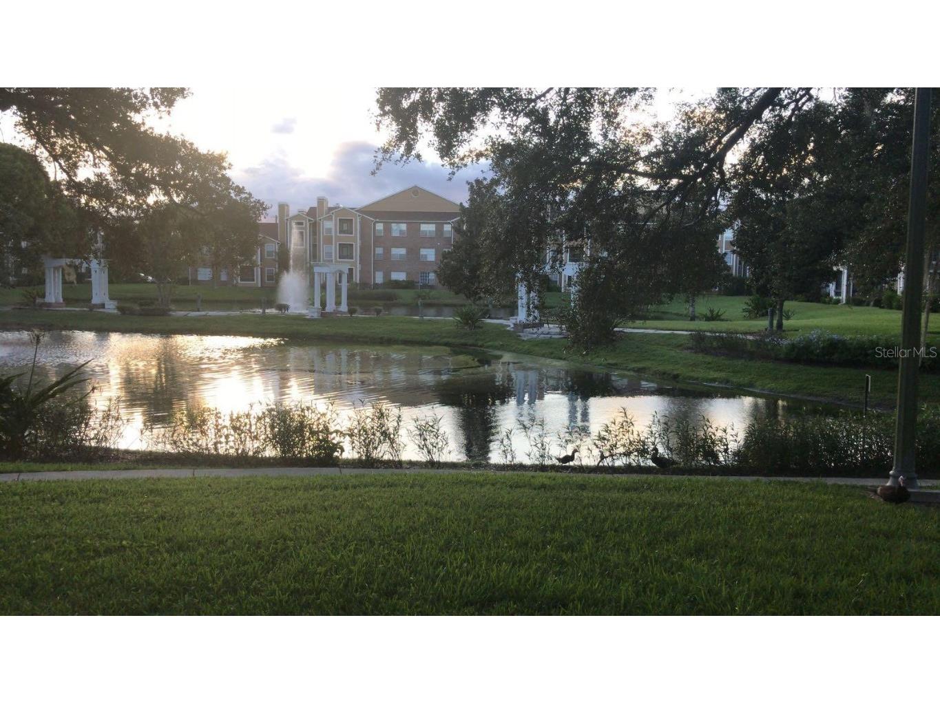 4400 Thornbriar Lane #102 Orlando FL 32822 O6346140 image33