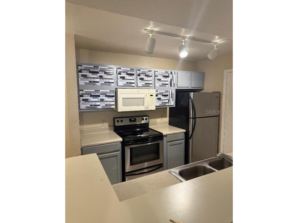 4400 Thornbriar Lane #102 Orlando FL 32822 O6346140 image9