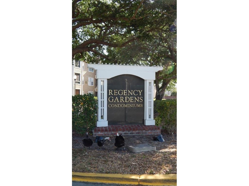 4400 Thornbriar Lane #201 Orlando FL 32822 O6098285 image1