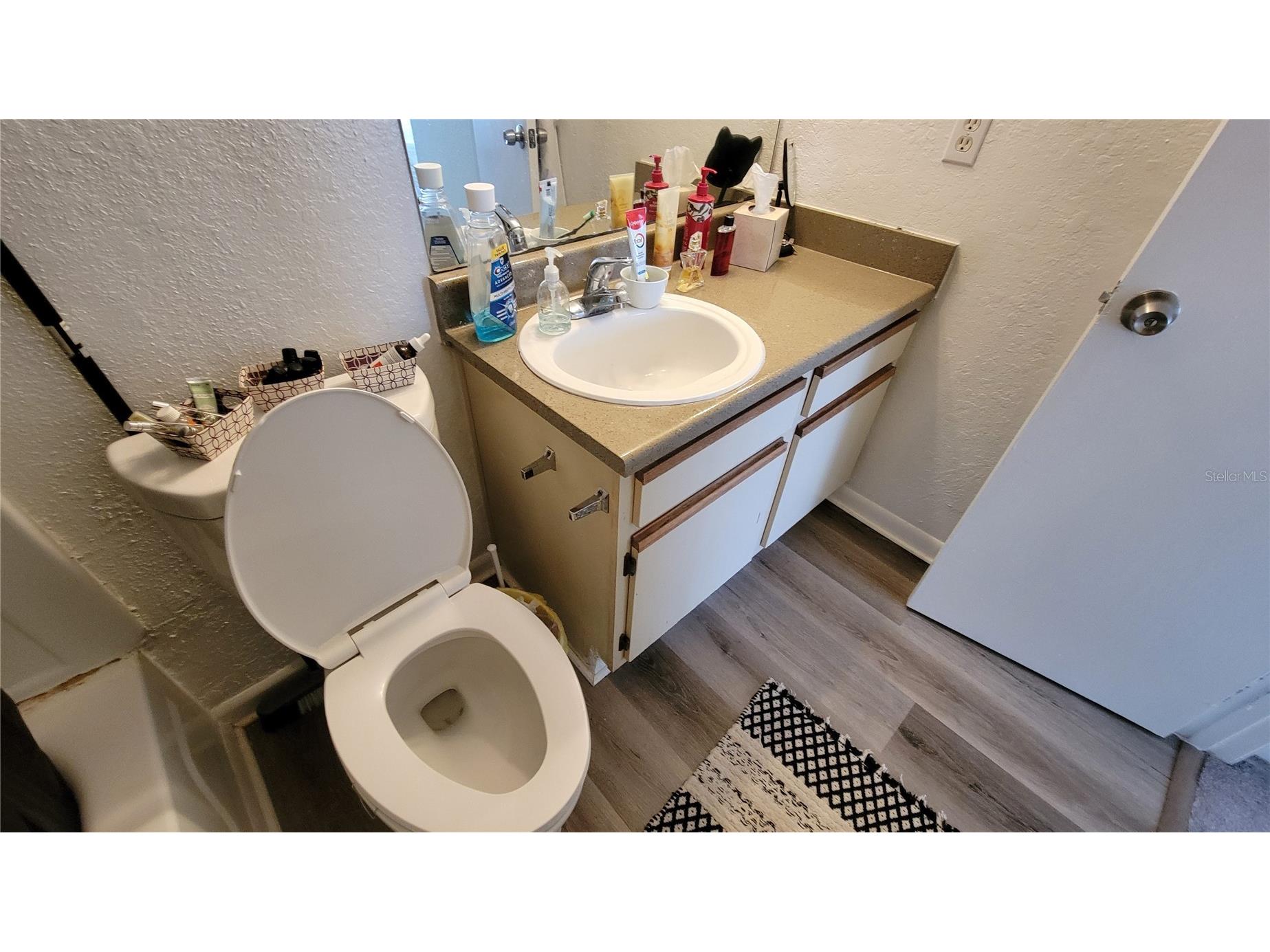 4400 Thornbriar Lane #201 Orlando FL 32822 O6376806 image10