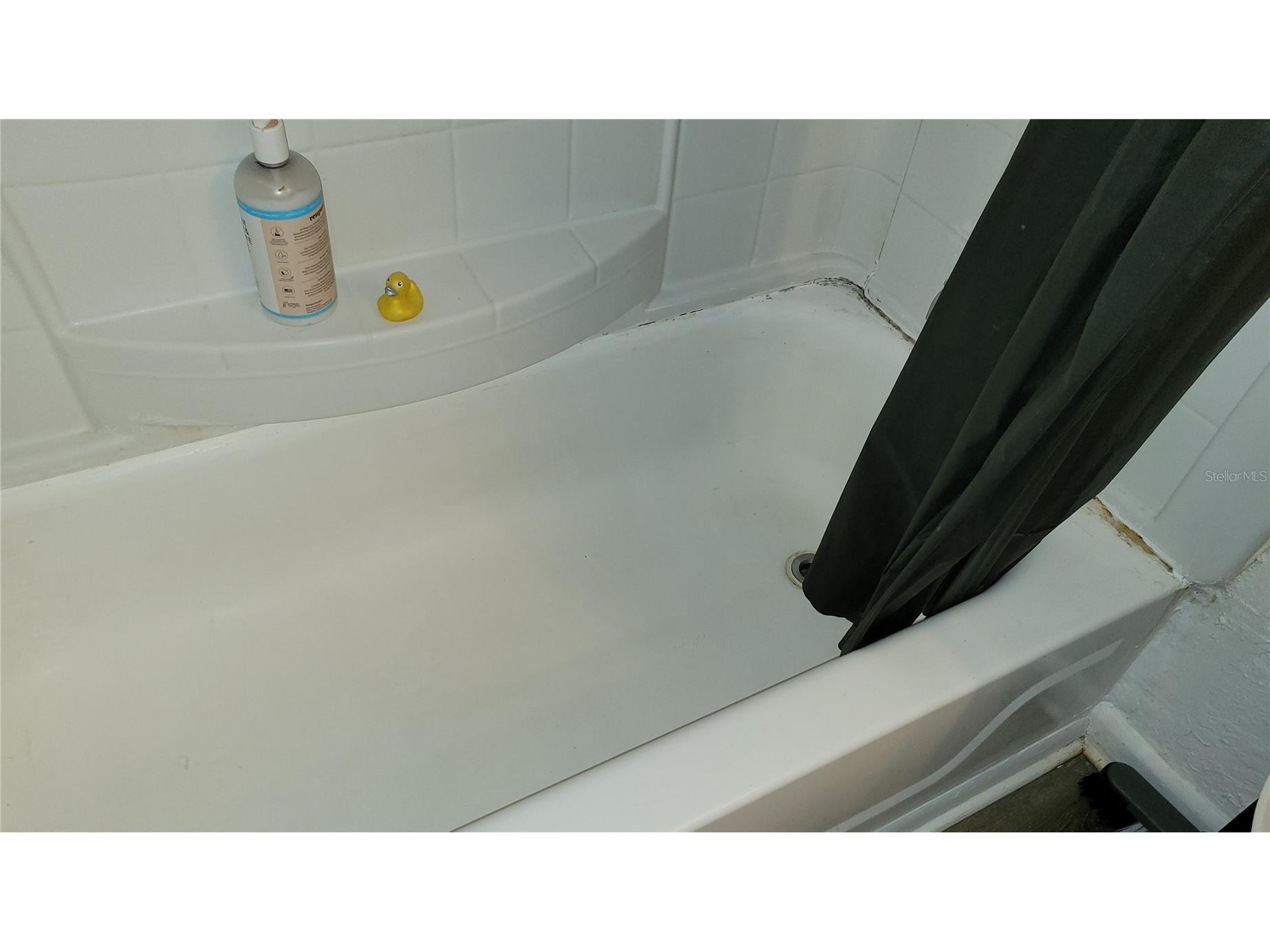 4400 Thornbriar Lane #201 Orlando FL 32822 O6376806 image11