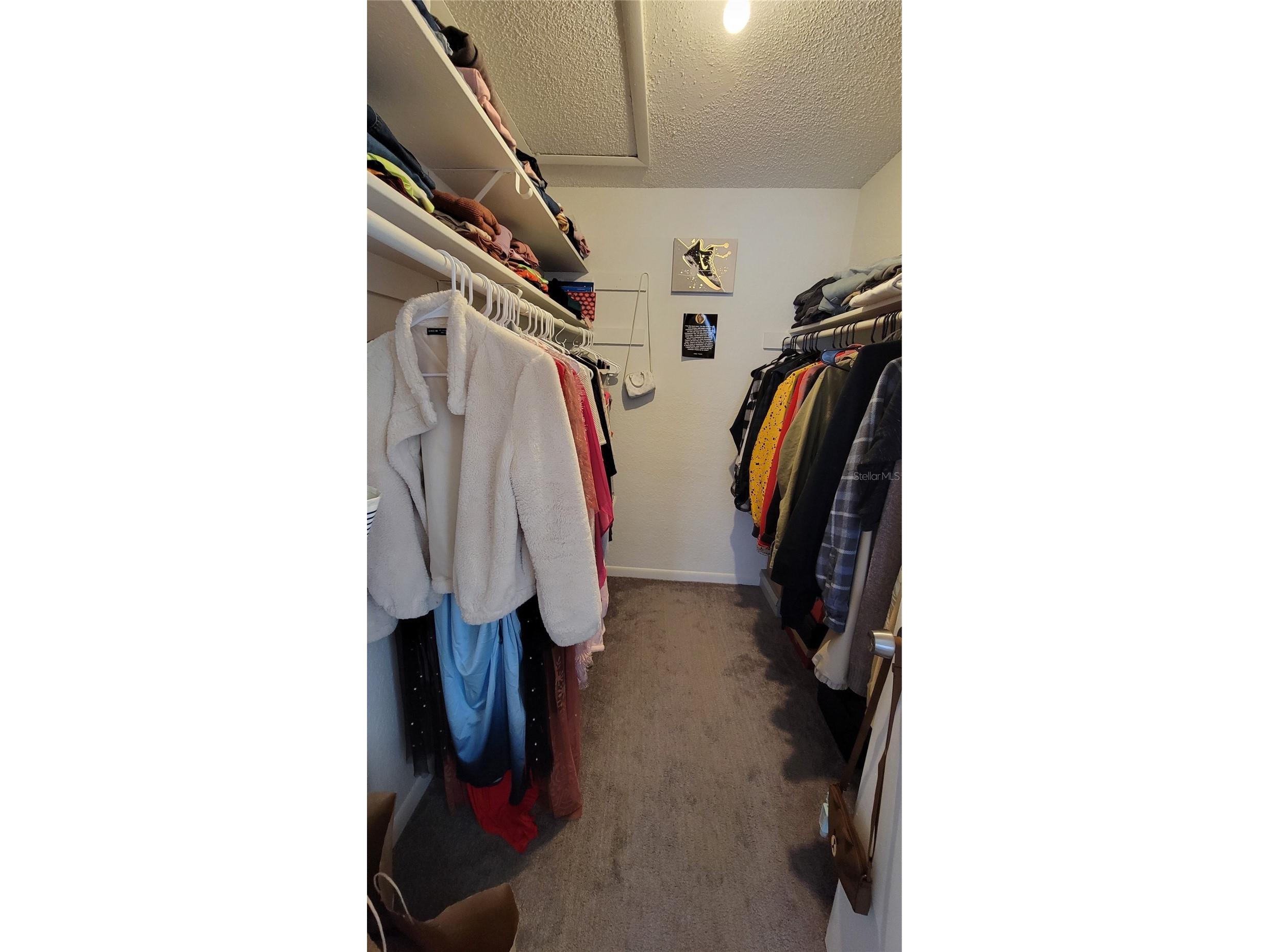 4400 Thornbriar Lane #201 Orlando FL 32822 O6376806 image8