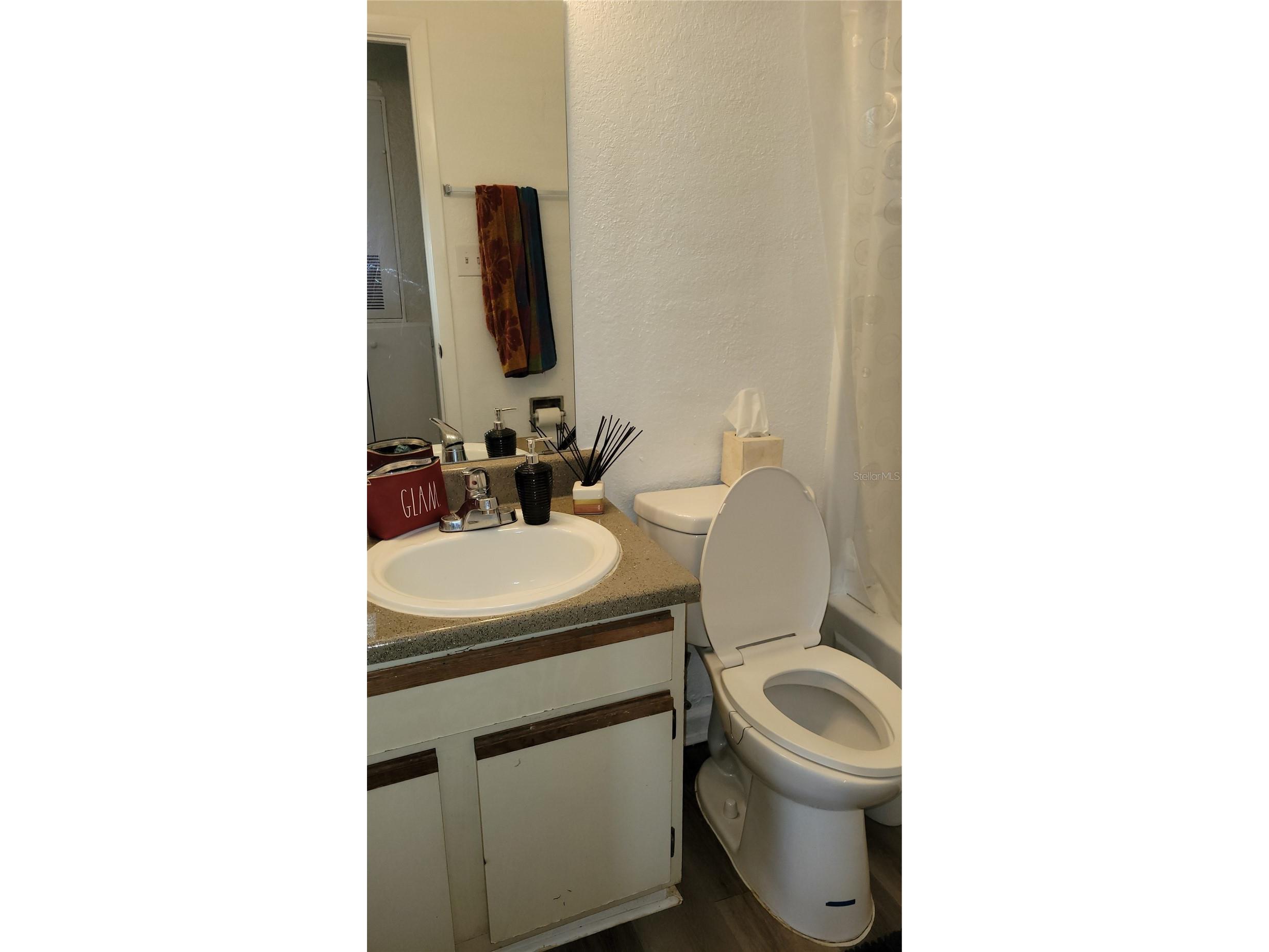 4400 Thornbriar Lane #201 Orlando FL 32822 O6376806 image9