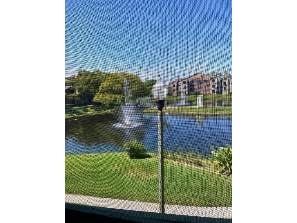 4400 Thornbriar Lane #204 Orlando FL 32822 O6187961 image1