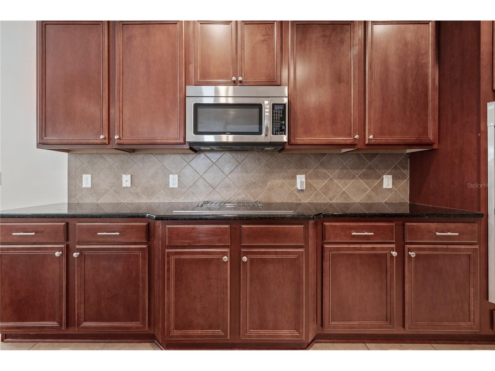 4400 Wildstar Circle Wesley Chapel FL 33544 TB8516383 image14