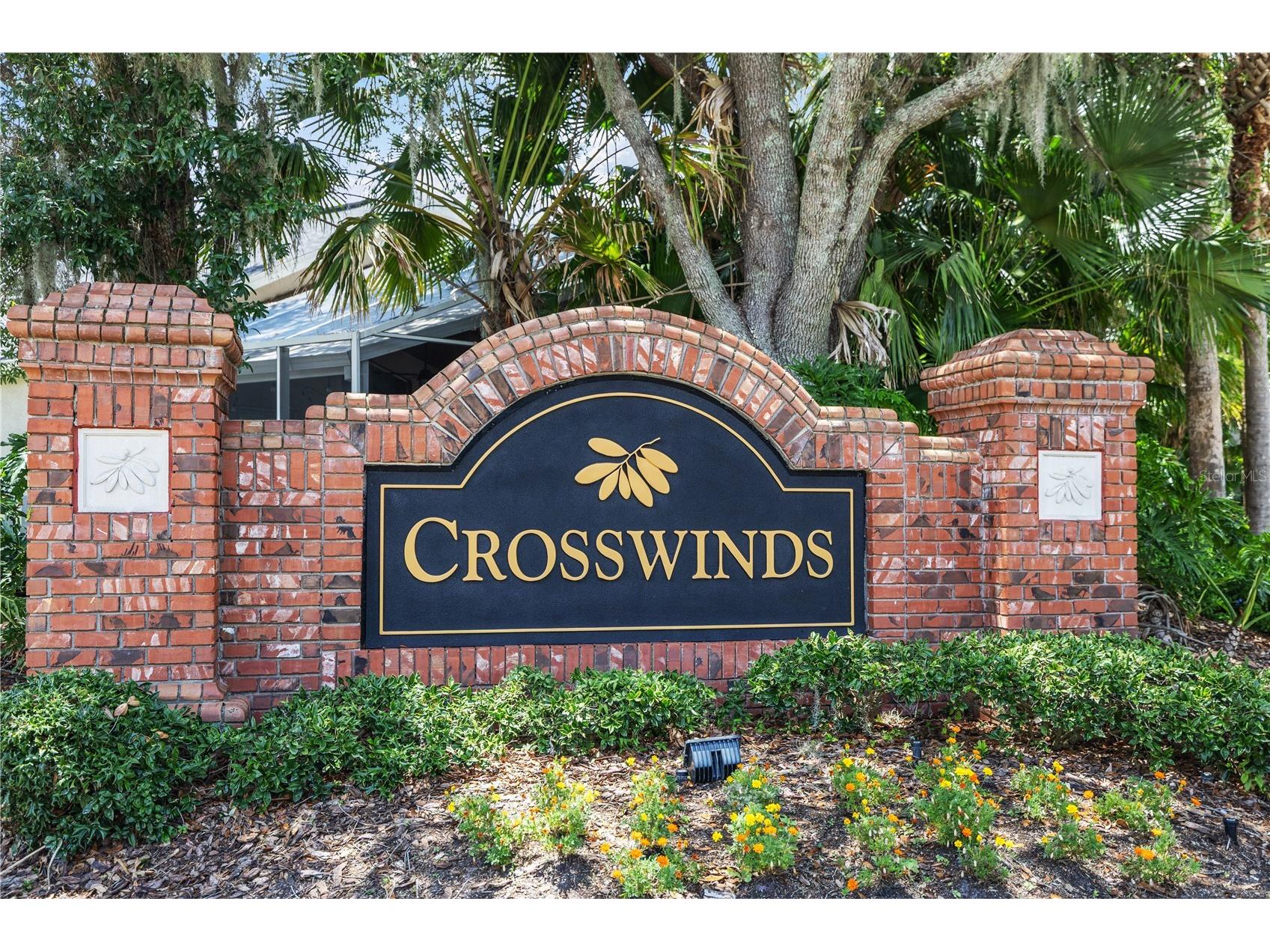 4400 Wildstar Circle Wesley Chapel FL 33544 TB8516383 image44
