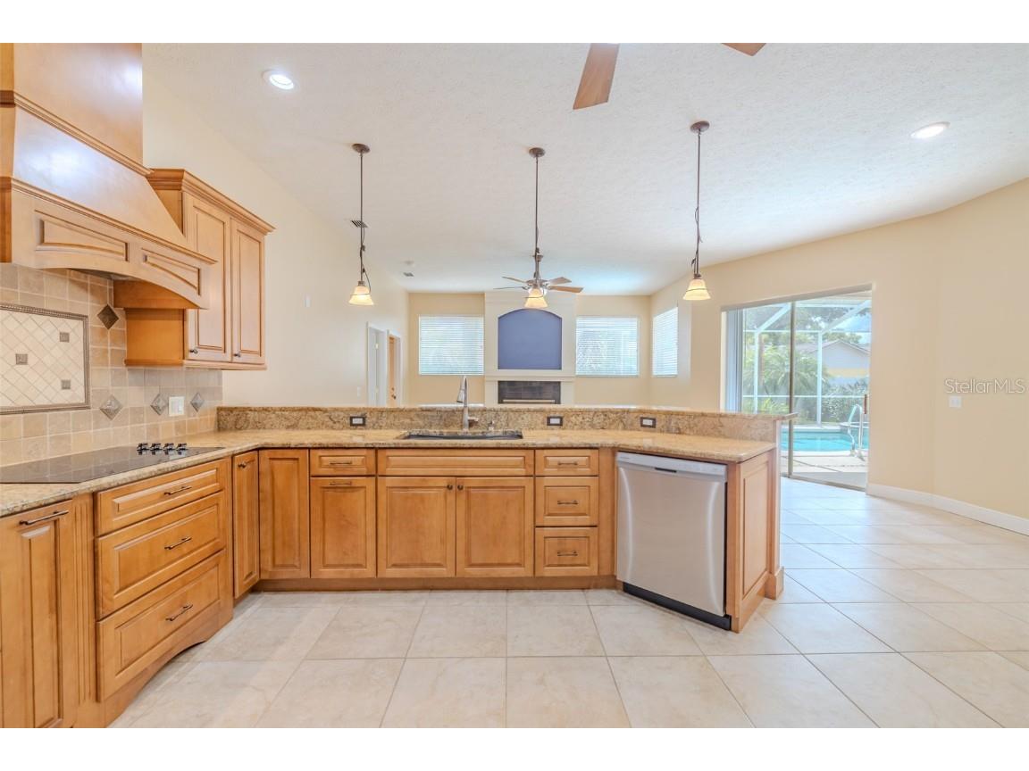 4401 Blantyre Place Valrico FL 33596 TB8415899 image14