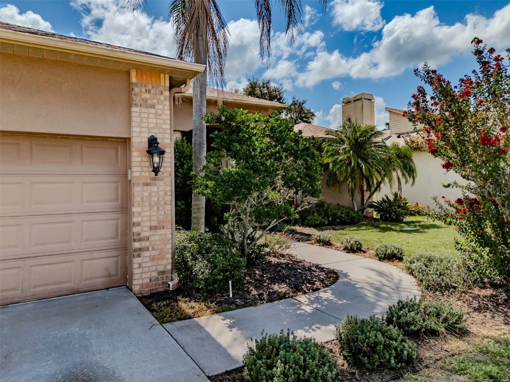 4401 Blantyre Place Valrico FL 33596 TB8415899 image2