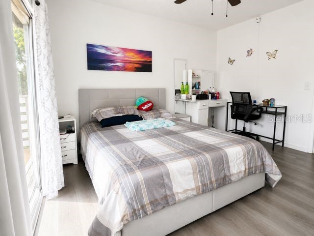 4401 Dylan Loop #164 Land O Lakes FL 34639 TB8505554 image18