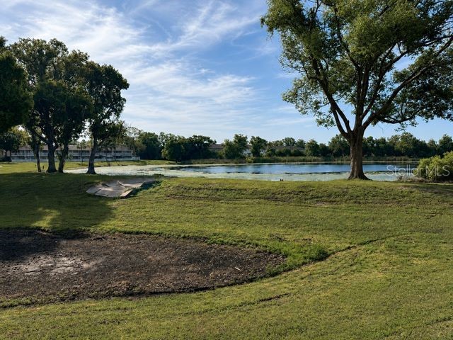 4401 Dylan Loop #164 Land O Lakes FL 34639 TB8505554 image30