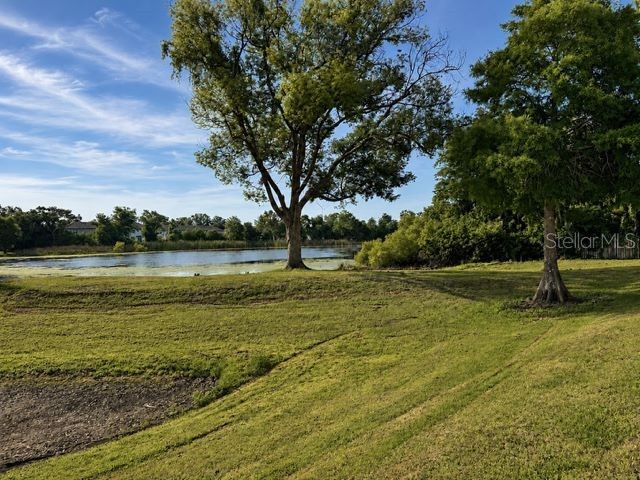 4401 Dylan Loop #164 Land O Lakes FL 34639 TB8505554 image31