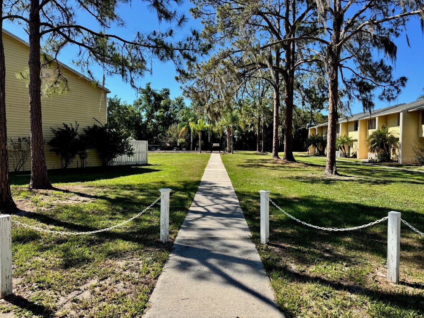 4401 Dylan Loop #164 Land O Lakes FL 34639 TB8505554 image35