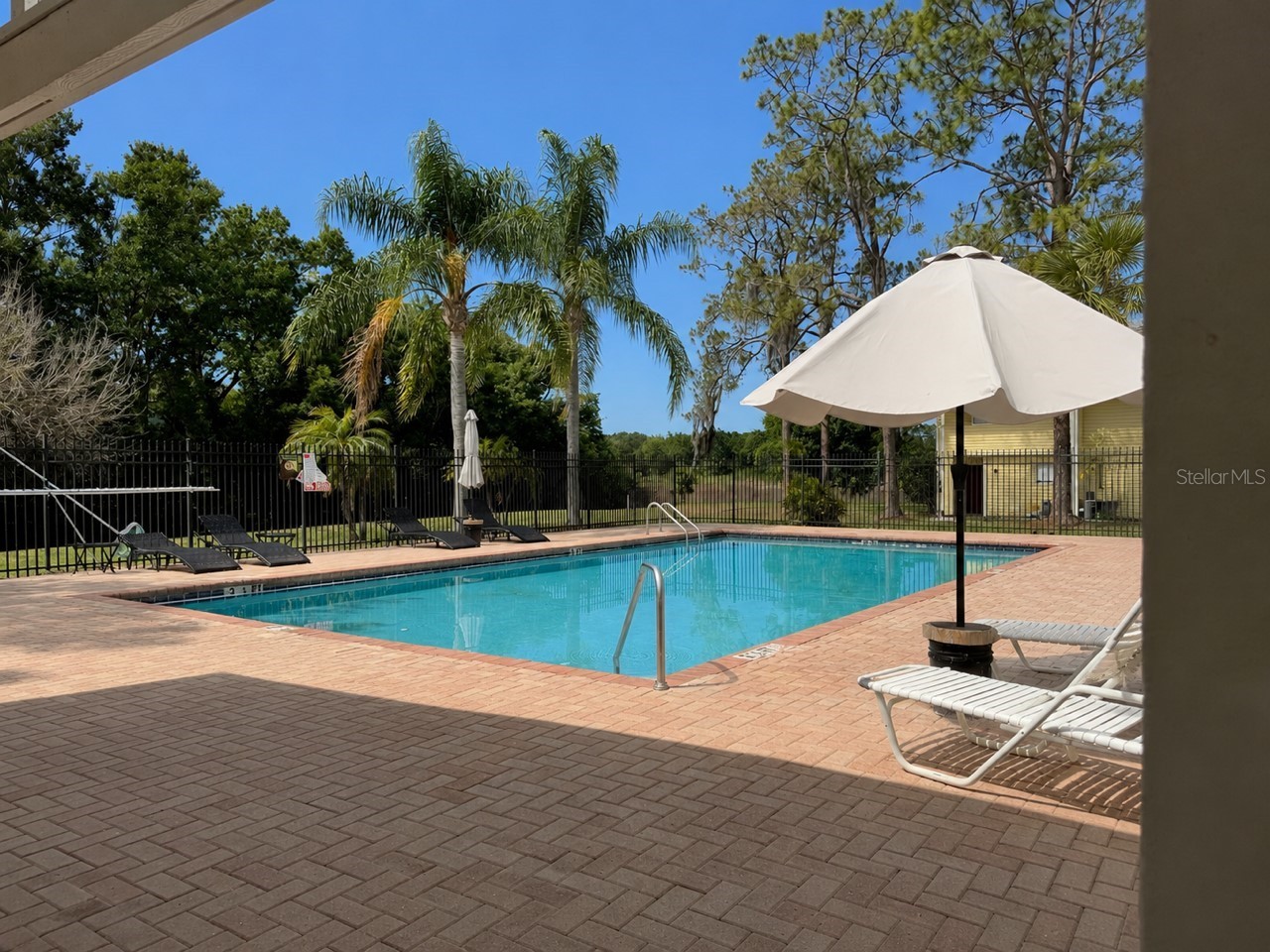 4401 Dylan Loop #164 Land O Lakes FL 34639 TB8505554 image36