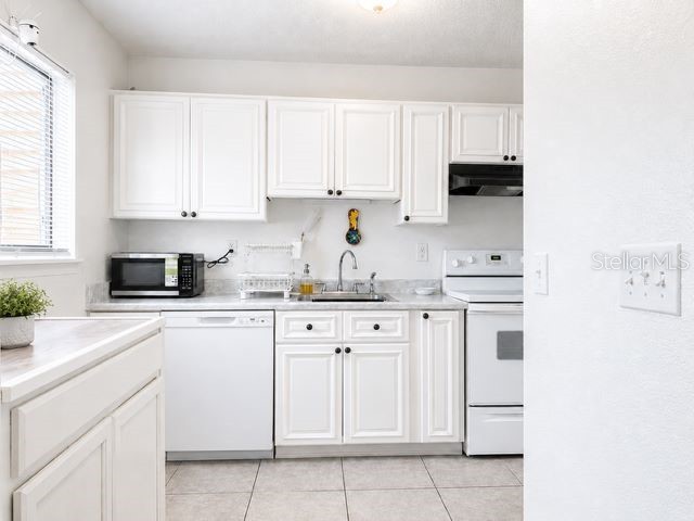 4401 Dylan Loop #164 Land O Lakes FL 34639 TB8505554 image5